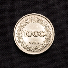 1000 Kronen 1924 stereich